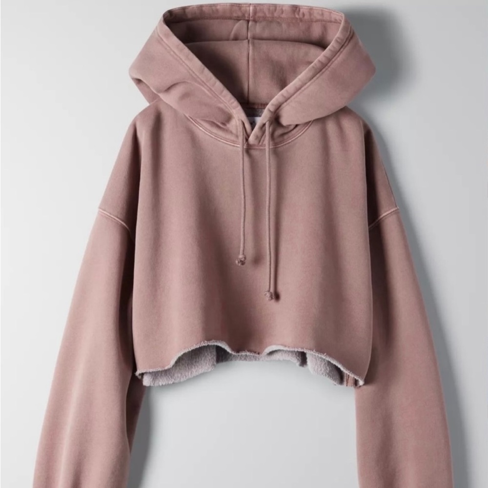 Tna Aritzia cozy fleece boyfriend cropped hoodie